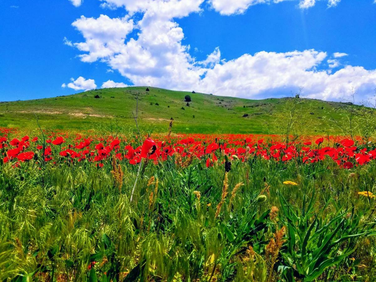 Karine B&B Yeghegnadzor Екстер'єр фото